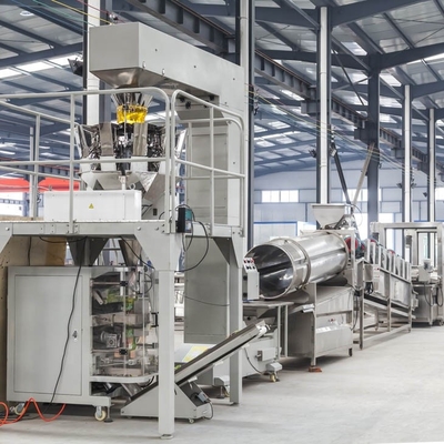 Productielijn voor bevroren friet van roestvrij staal voor meer efficiëntie
