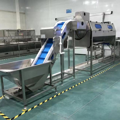 Productielijn 60 eenheden per jaar Productie voor 2-3mm Banana Chips Dikte