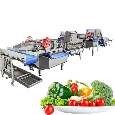 Splijtstuk uien 2000 kg/h Groenten- en Fruitwasmachine