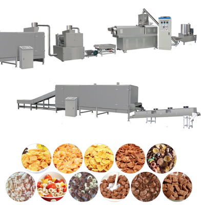 160kw Fruit Groentedroogmachine Snacks Making Machine 260kg/H