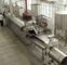 Diesel 800 kg/h 900 kg/h SUS304 Volledig automatische Franse friet productielijn