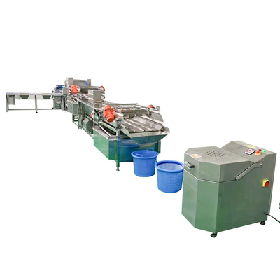 Automatische wasmachine voor groenten en fruit met een vermogen van 4,8 kW