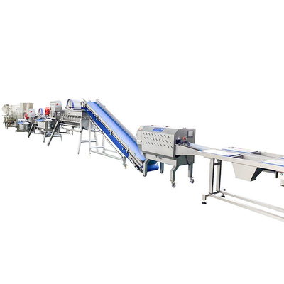 Splijtstuk uien 2000 kg/h Groenten- en Fruitwasmachine