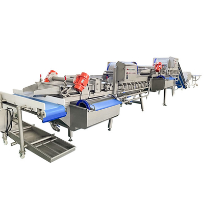380v 2000kg/h wasmachine voor groenten en fruit