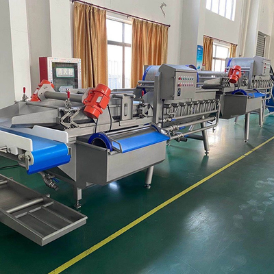 380v 2000kg/h wasmachine voor groenten en fruit