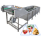 304 roestvrij staal 1200 kg/h groenten- en fruitwasmachine